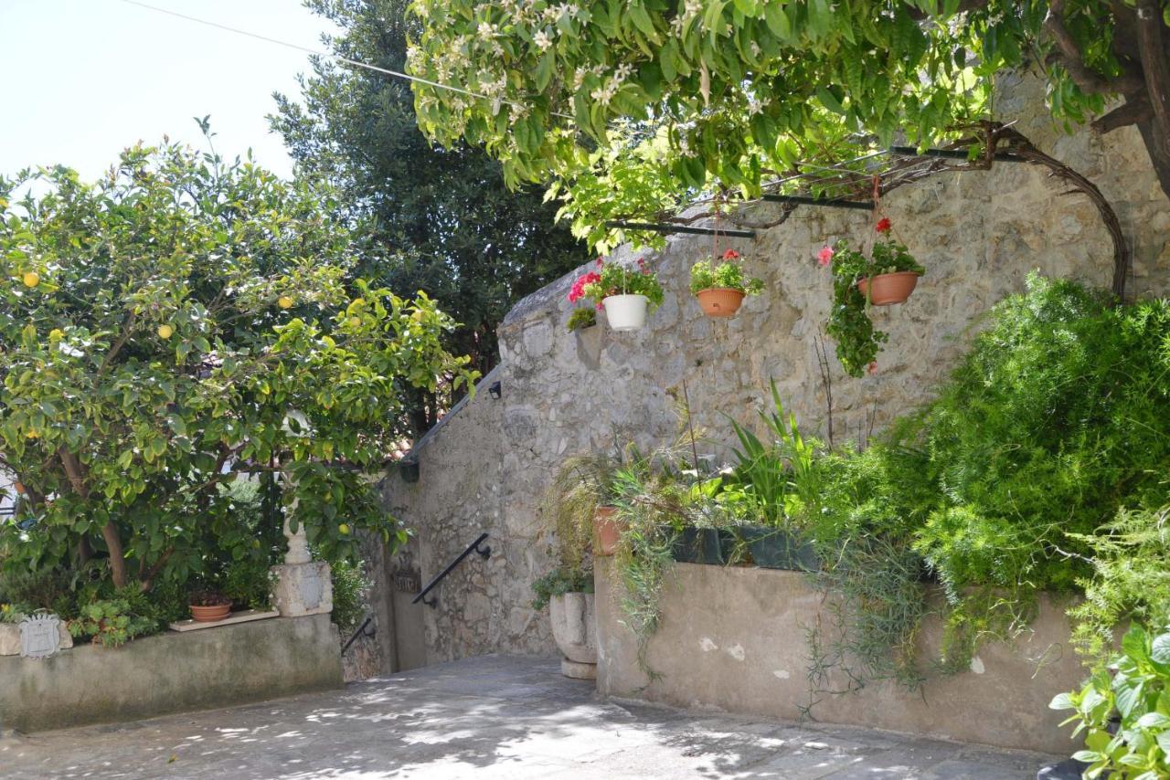 Guesthouse Manda Дубровник Екстериор снимка