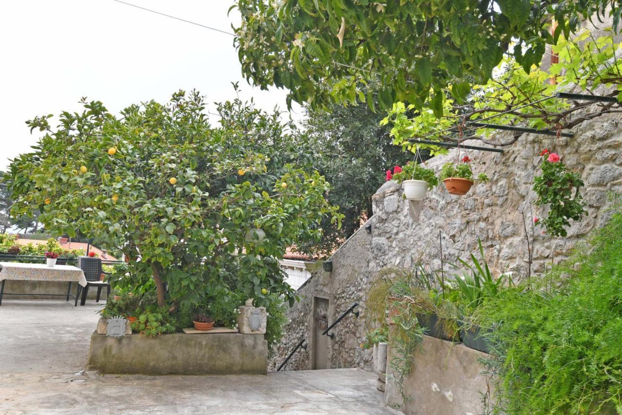 Guesthouse Manda Дубровник Екстериор снимка