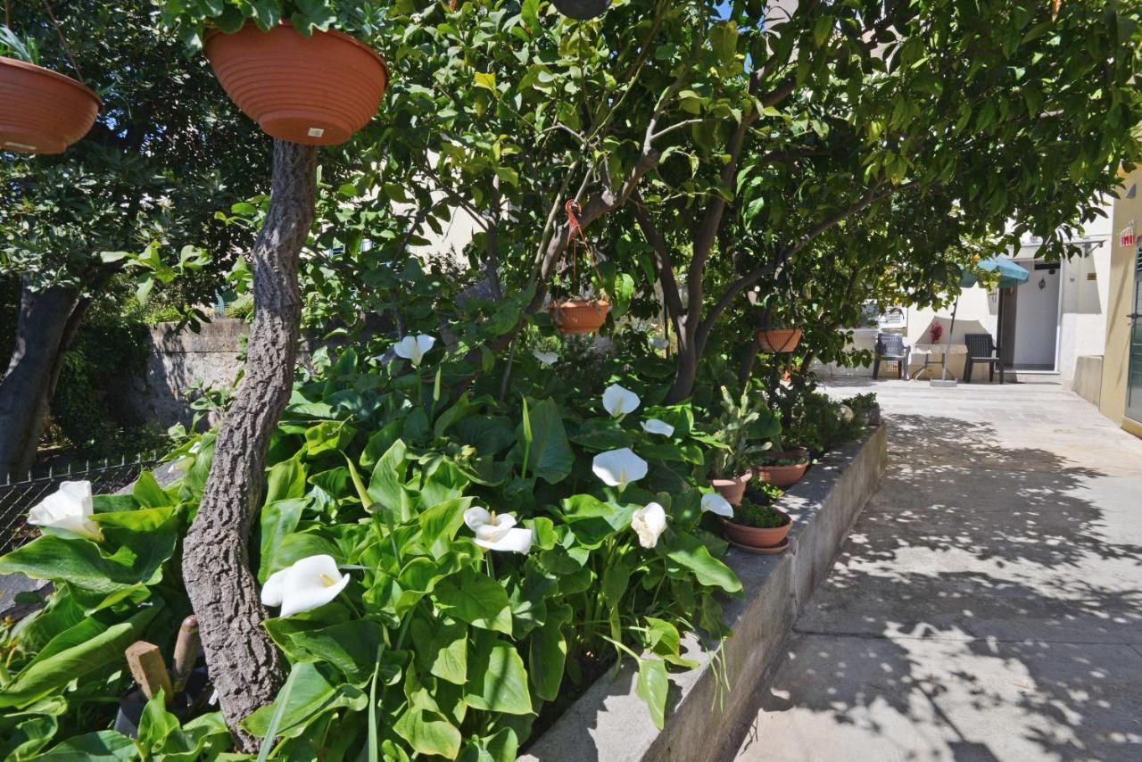 Guesthouse Manda Дубровник Екстериор снимка