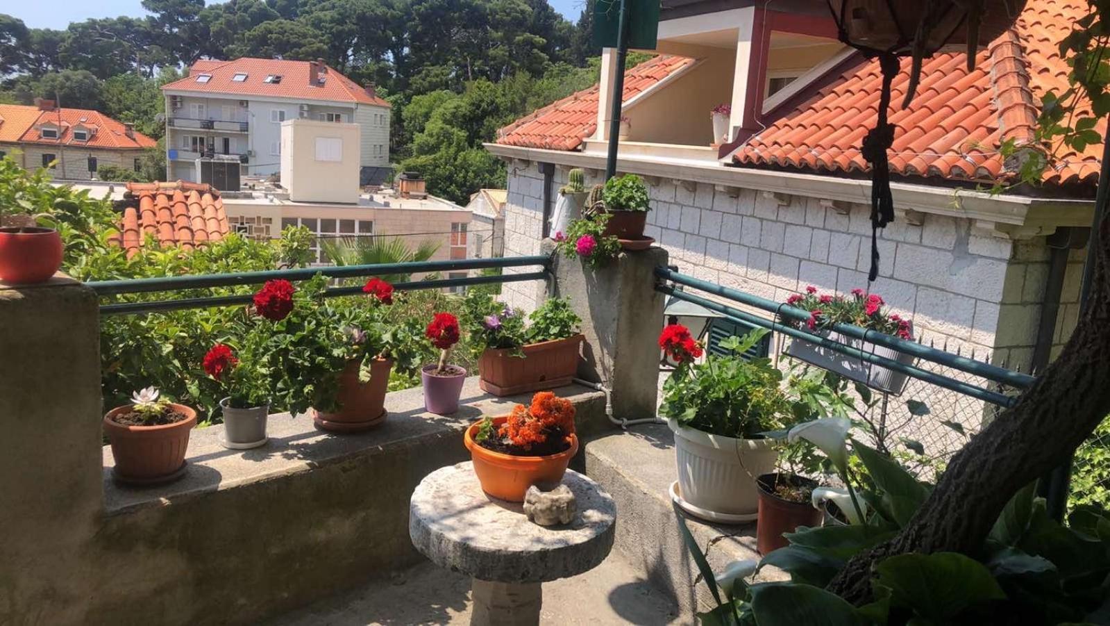 Guesthouse Manda Дубровник Екстериор снимка