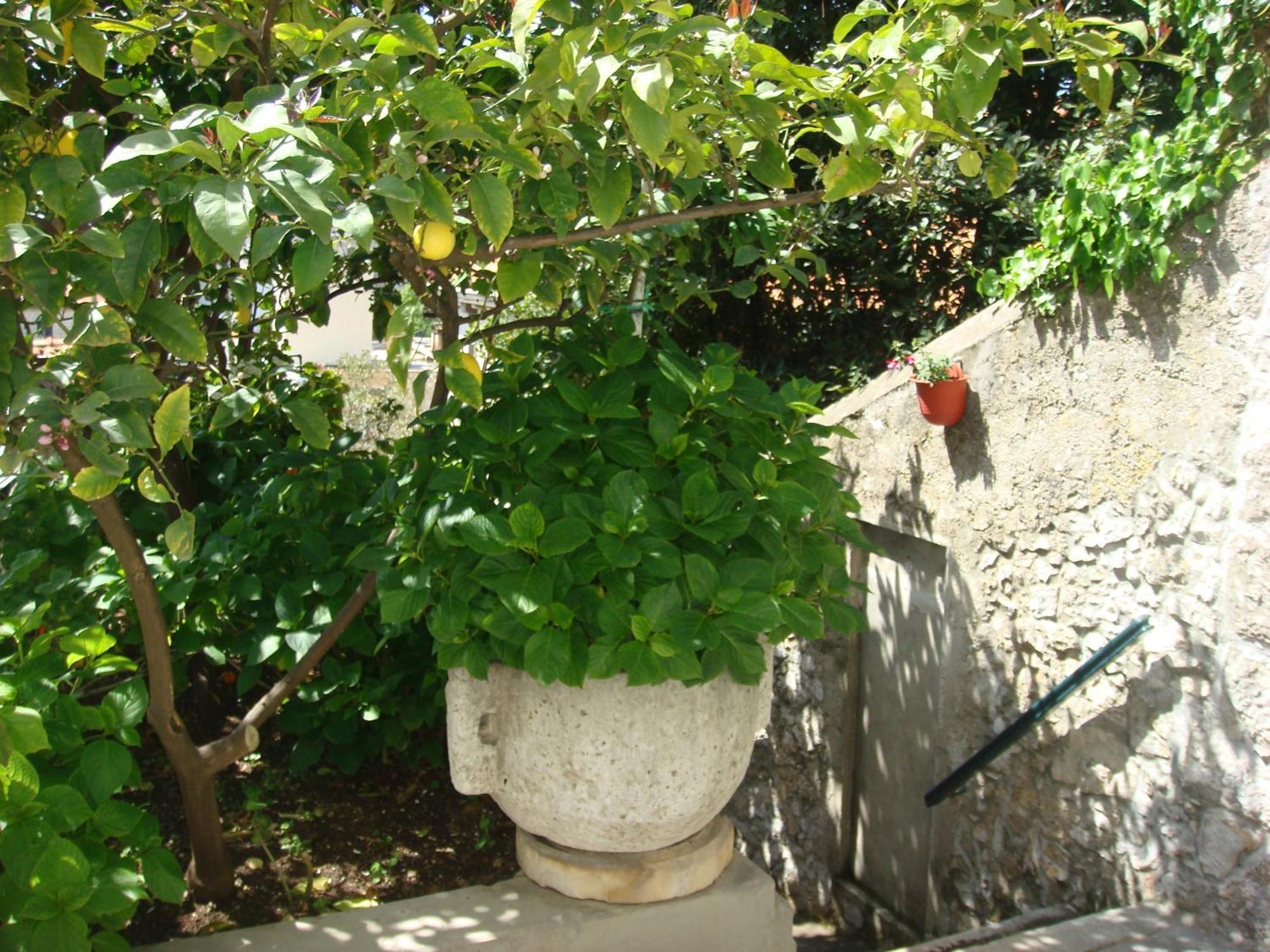 Guesthouse Manda Дубровник Екстериор снимка